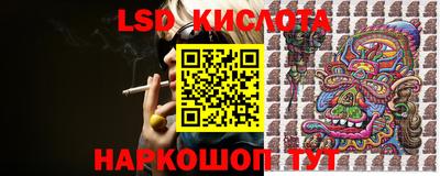 сатива Гатчина