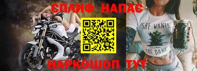 сатива Гатчина