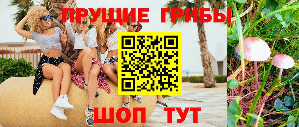 Ипатово  Галлюциногенные грибы GOLDEN TEACHER  Вход с VPN 